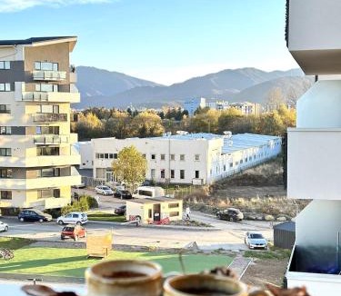 Brasov Apartment | Business Loft - Parking - Fast Wi-Fi - Near Coresi