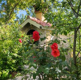 Zrnovnica Apartment | Apartments with parking space Zrnovnica, Split - 24236