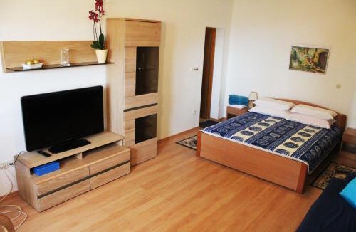 Poljane Apartment | Apartments Anicic