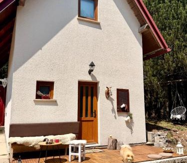 Blidinje Nature Park Ski Chalet | Jozin put -planinska kuća