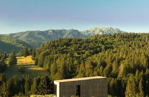 Vama Buzaului House | The Valley Resort