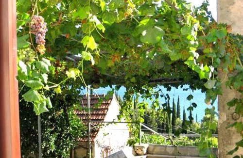 Krucica House | House Antun