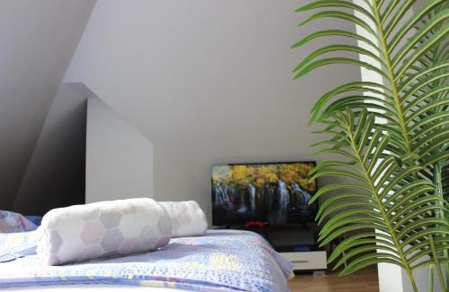 Strigova Villa | Villa Lotus
