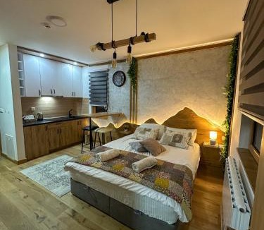 Jahorina Apartment | Apartment D248- aparthotel Vucko