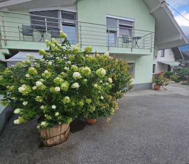Zasip House | Apartments Vesna