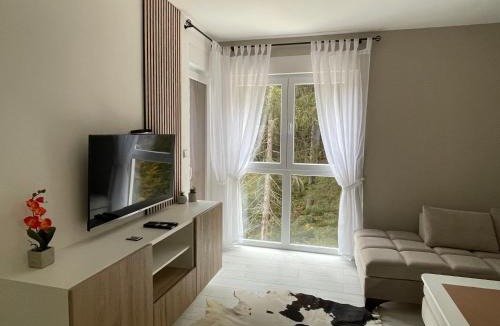 Pale Apartment | Apartmani Berg