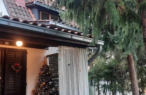Banatski Karlovac House | Šumska kuća Atina- Devojački Bunar