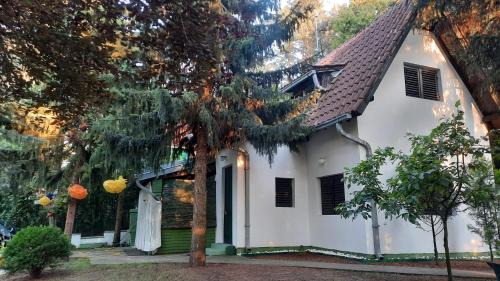 Banatski Karlovac House | Šumska kuća Atina- Devojački Bunar