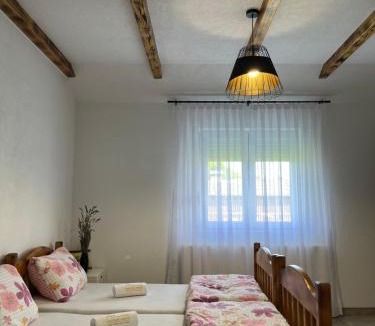 Nozicko Apartment | Apartmani Subotic