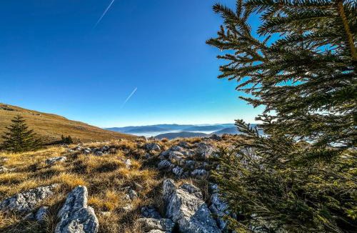 Sumece Apartment | Vila Bašić Vlašić VUK Apartman