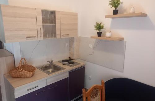 Rudine Apartment | Studio Apartman Šutić
