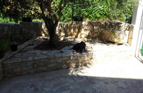 Rukavac Apartment | Apartments with parking space Rukavac, Vis - 13337