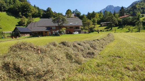 Lom pod Storzicem House | Apartments Tourist Farm Štorman with EV Ch-Station