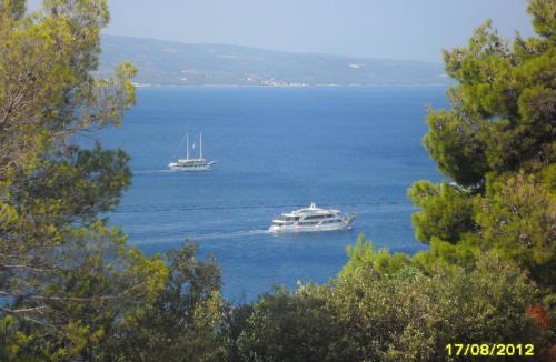 Stanici Apartment | Apartments Nedo Dalmatia