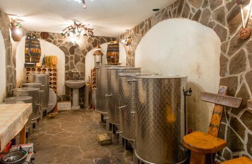 Crnomelj House | Vineyard Cottage Stepan