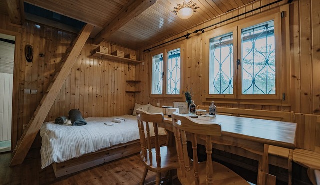 Koča Kronca - Velika planina in Kamnik