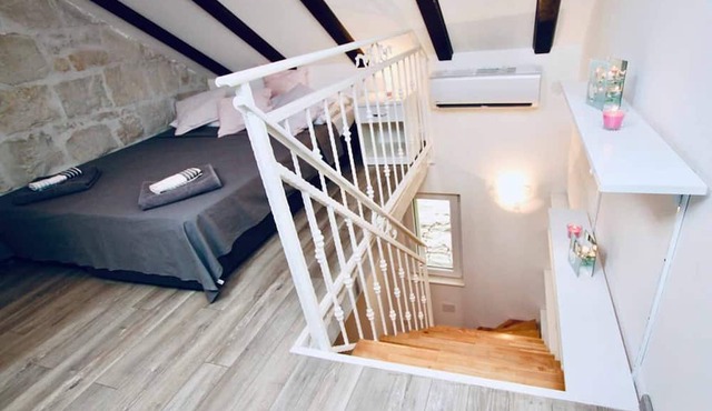 Dalmatian White Shell Apartment