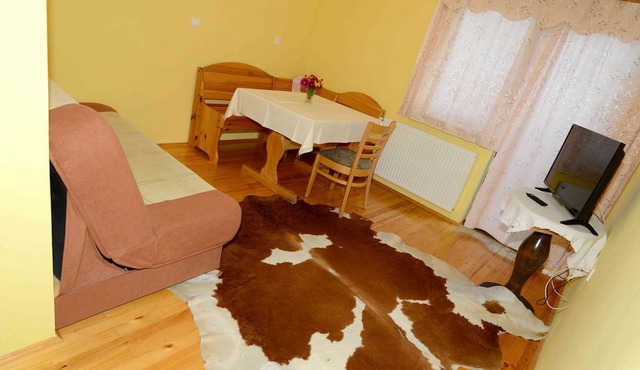 Guest House Koprivnik in Zrece