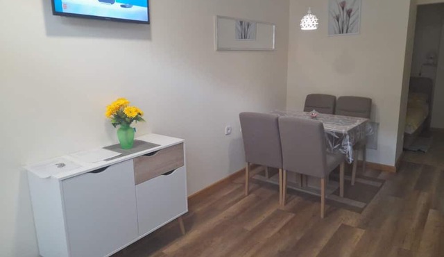 Apartment Vanja