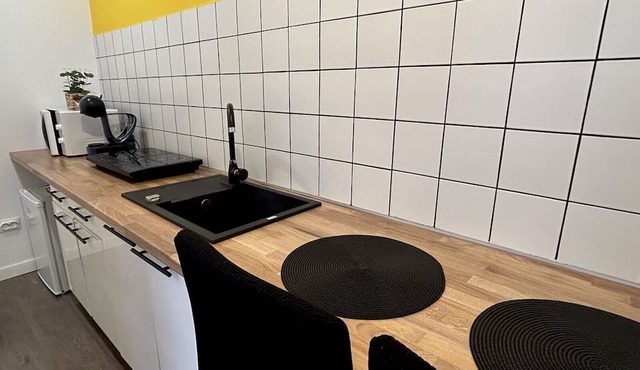 Downtown apartment. Pet friendly. Free baby crib and high chair provided in Cluj-Napoca