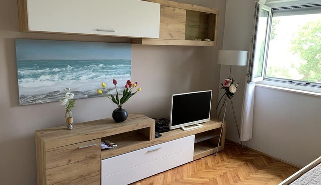 Apartment in Bibinje with Terrace, Air condition, WIFI, Washing machine (877-1)