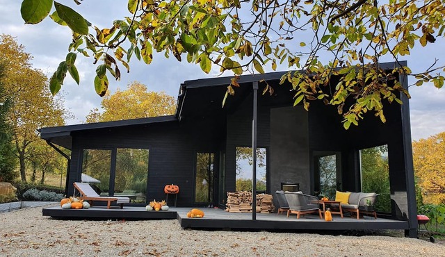 Black Walnut House - cozy indoor/outdoor fireplace in Homorâciu