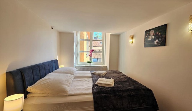 Apartment Sviti Tour As Modern and quiet place by Town Hall with AC and WI-FI in Ljubljana