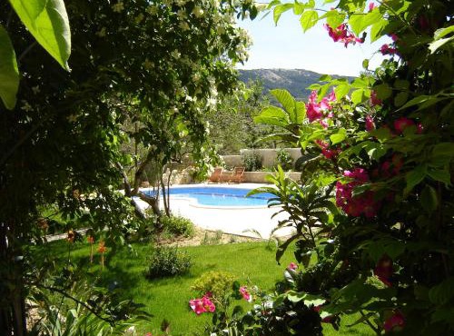 Pool apartments Mirjana in Rab