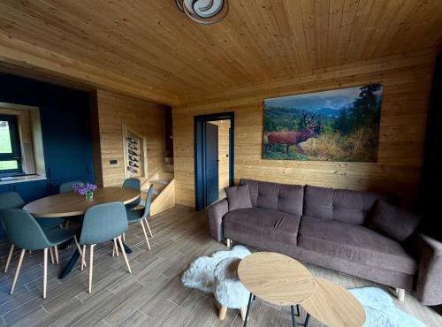 Carpathic Chalet in Comandau