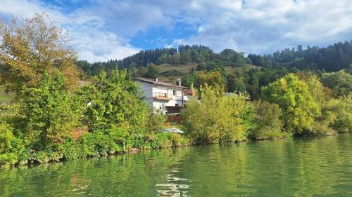 Drava House by Bučinek