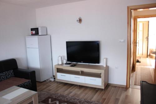 Apartments Zoni in Vlasic