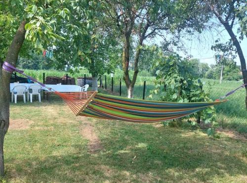 Stan na dan-rodjendan in Bosanska Gradiška