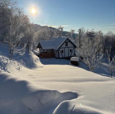 Village house Marković in Doboj