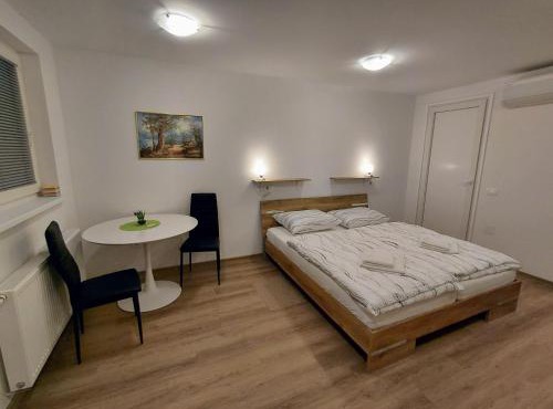 Apartment and Studios Jelovca & Wellness in Radovljica