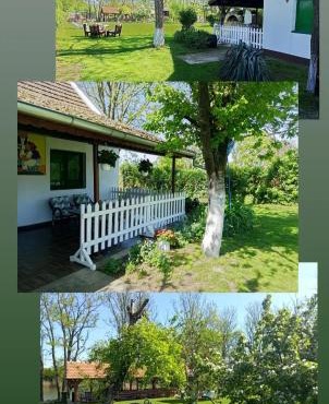 Vikendica Bojanić in Žabalj
