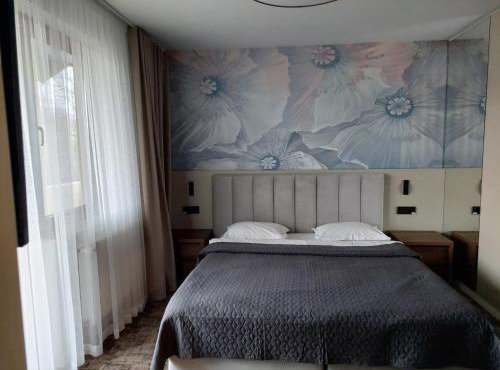 Casa Domnească Cacica in Partestii de Sus