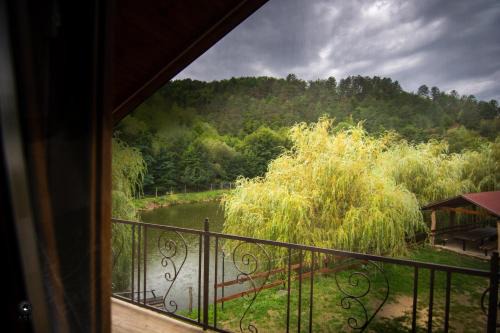 Ioska Boro in Mehadica