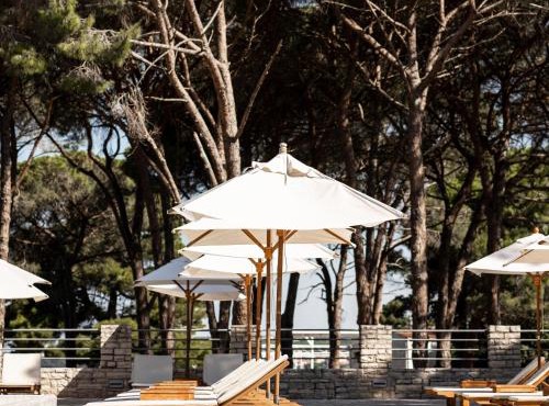 Falkensteiner Hotel Adriana l Adults Only