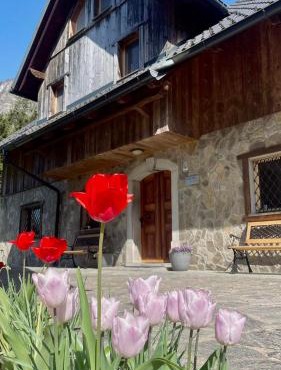 4 Elements Glamping & Apartments in Bled