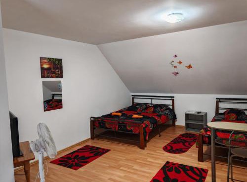 Pensiunea Casa Montana in Sasca Montana