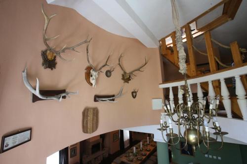 Ratiu House in Turda
