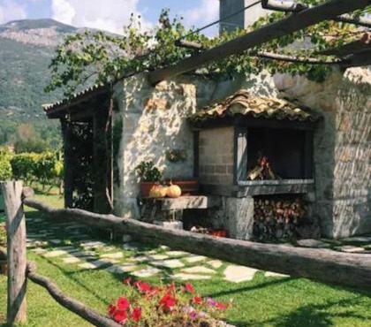 Vineyard Eco Cottage near Dubrovnik