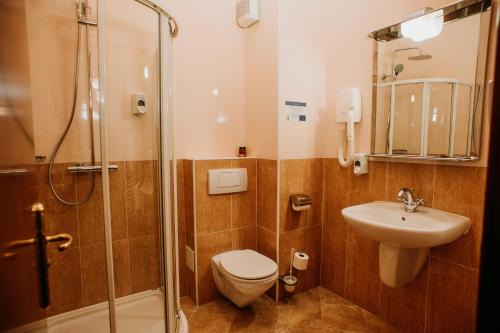 Hotel Coandi in Arad