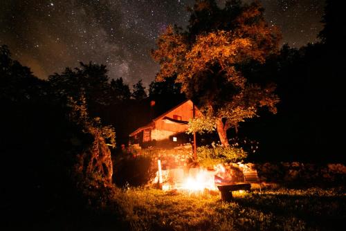 Miha lodge - Mihčevo pleče in Soča