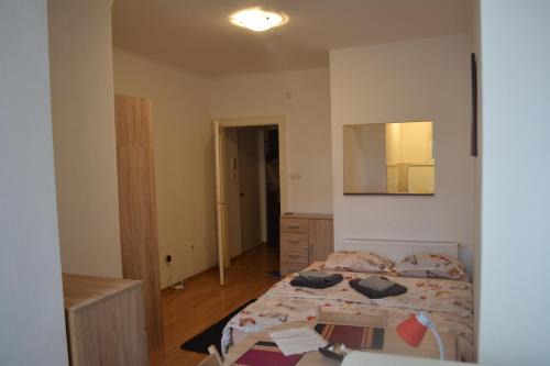 Studio Maniu in Brasov